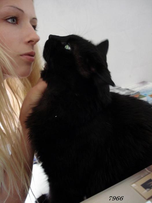 547.DAX Tipp-Spiel, Mittwoch, 07.06.07 101745