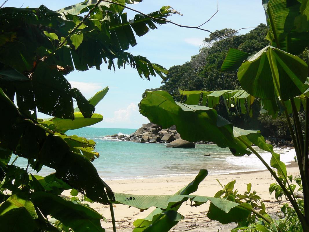 565.DAX Tipp-Spiel, Montag, 02.07.07 106709