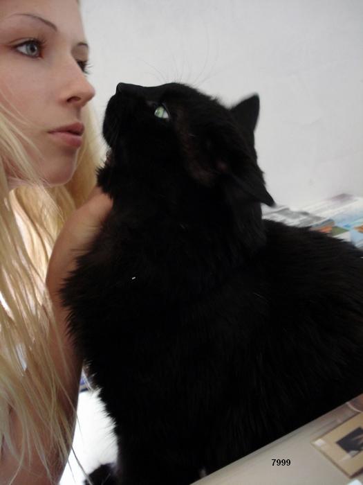 561.DAX Tipp-Spiel, Dienstag, 26.06.07 105471