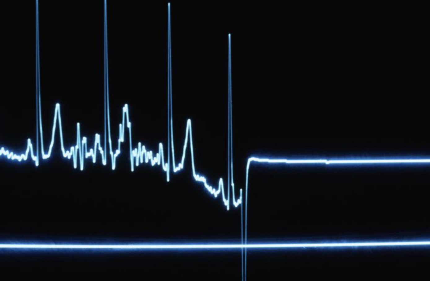 Wirecard 2014 - 2025 1178770