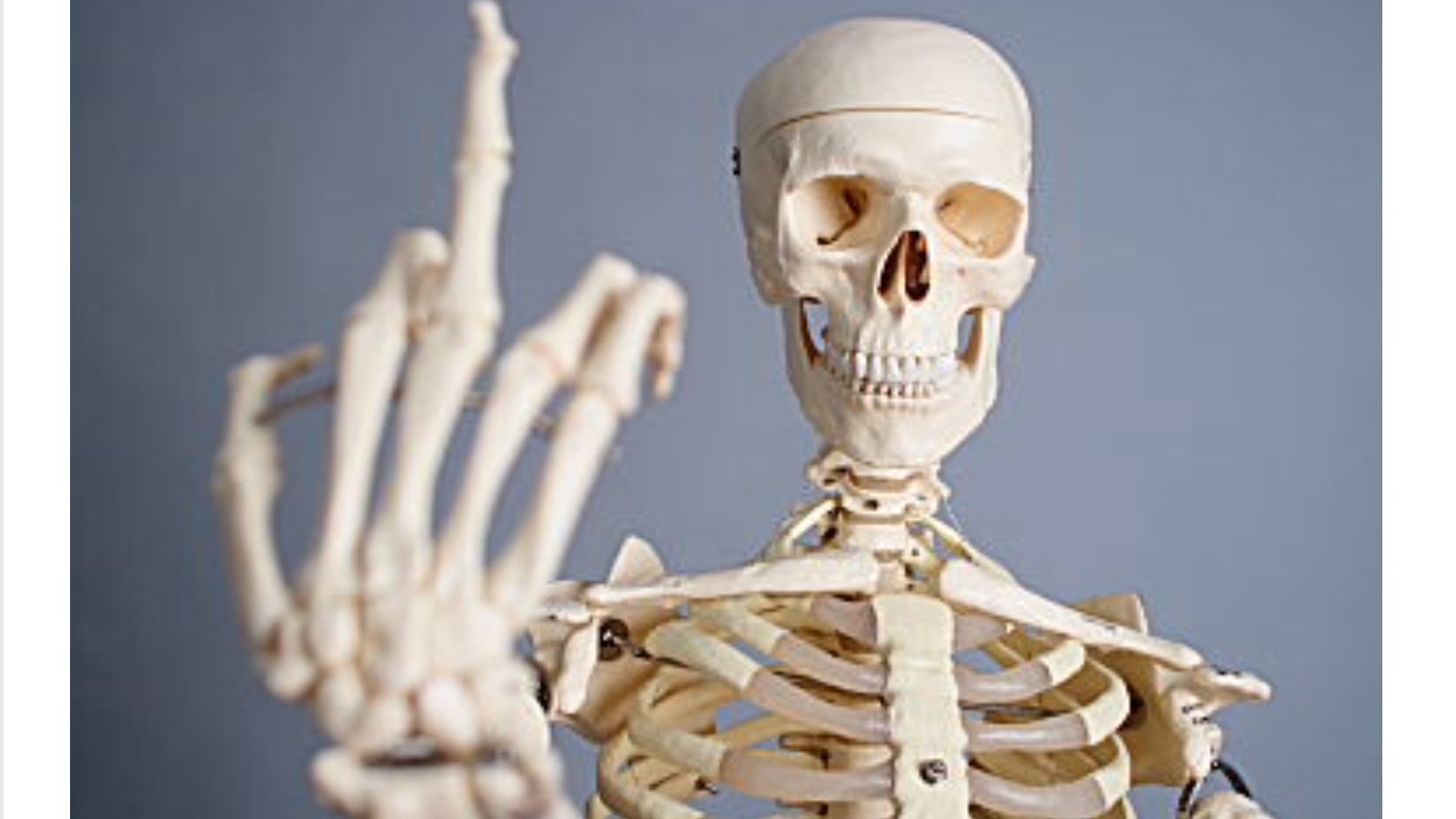 netcents, die neue online zahlungsplattform 1146775