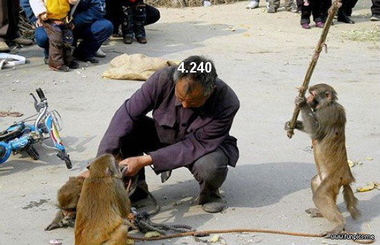 959.DAX Tipp-Spiel,Mittwoch,21.01.09, 17.45 Uhr 211648