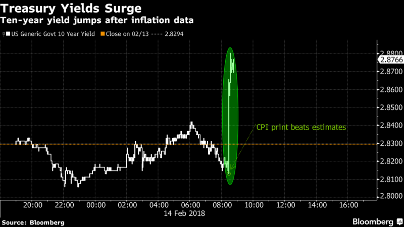 Der USA Bären-Thread 1040809