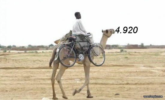 947.DAX Tipp-Spiel, Montag, 5.1.09, 17.45 Uhr 208423