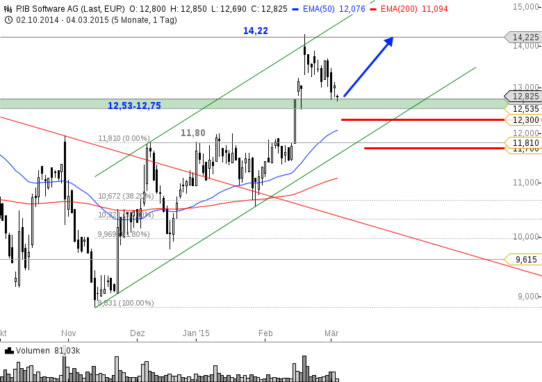 RIB Software AG 804689