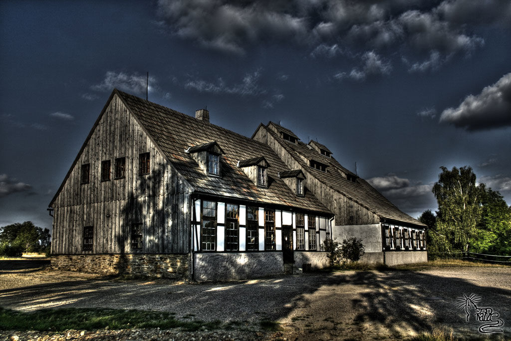 711.DAX Tipp-Spiel, Dienstag, 29.01.08, 17.45 Uhr, 144947