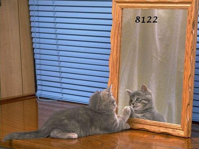 570.DAX Tipp-Spiel, Montag, 09.07.07 107819