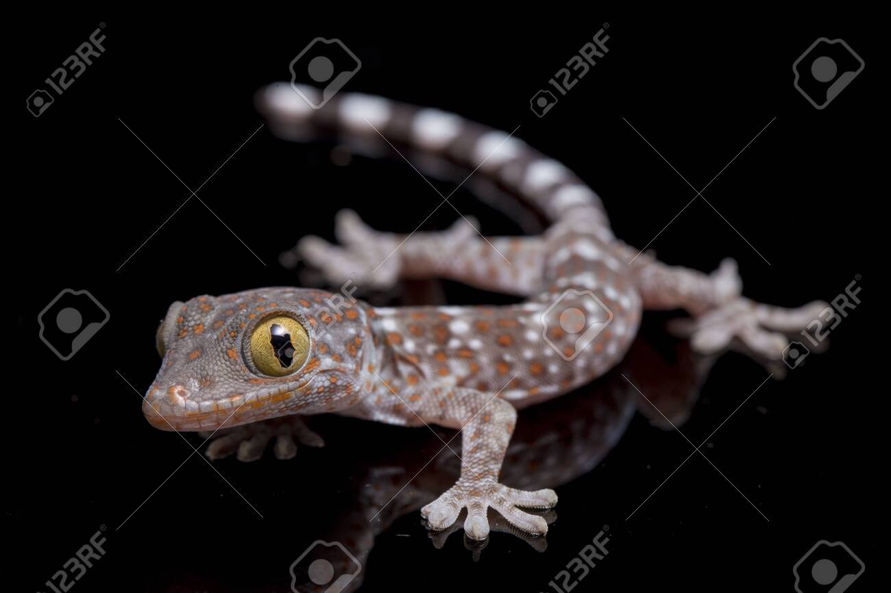 Börse ein Haifischbecken: Trade was du siehst 1228343