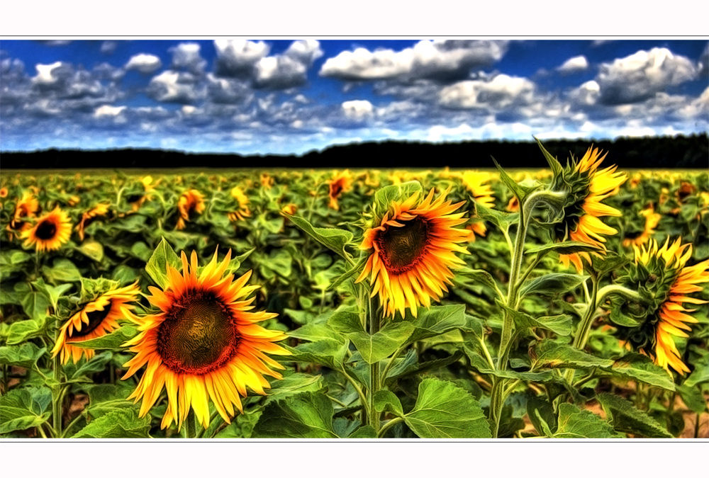 713.DAX Tipp-Spiel, Donnerstag, 31.01.08 145538