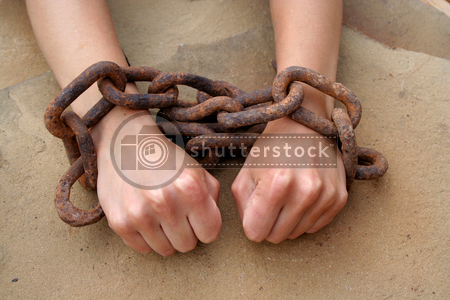 SOLARBROOK WATER DL-01WKN:A0NAS3 SurvivalThread 178175