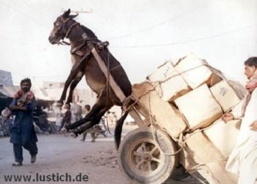 Wamu WKN 893906 News ! 423606