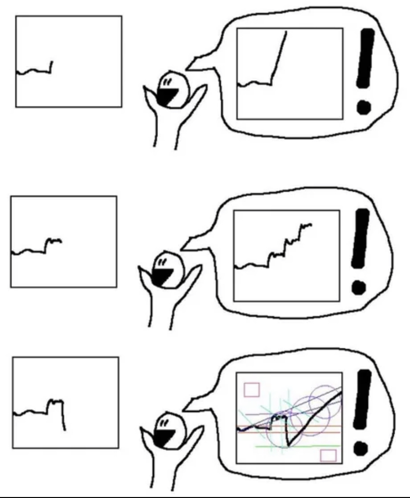 PAION Eine Fledermaus lernt wieder fliegen 1245299