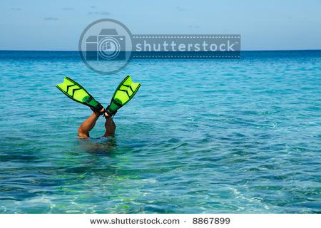 SOLARBROOK WATER DL-01WKN:A0NAS3 SurvivalThread 178209