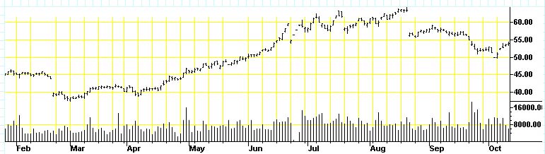 Mein neuer Favorit ist Schwein 251313