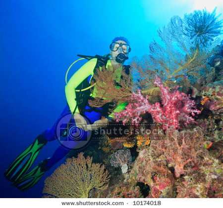 SOLARBROOK WATER DL-01WKN:A0NAS3 SurvivalThread 178211