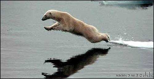 E.on SE - Chance oder Risiko 640416