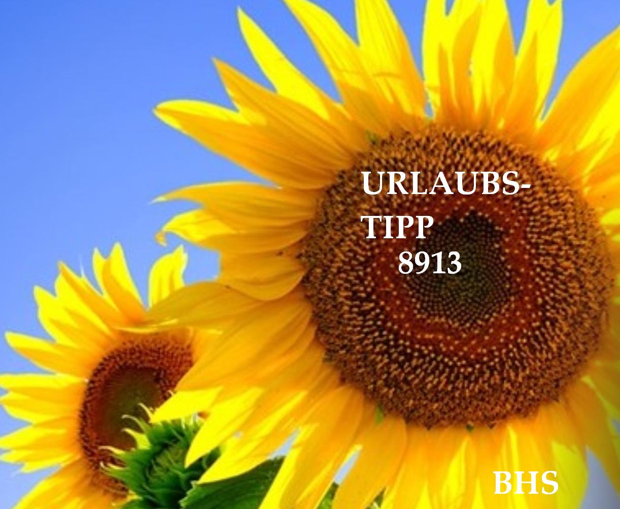 2.378.DAX Tipp-Spiel, Freitag, 15.08.2014,17.45 H 748122