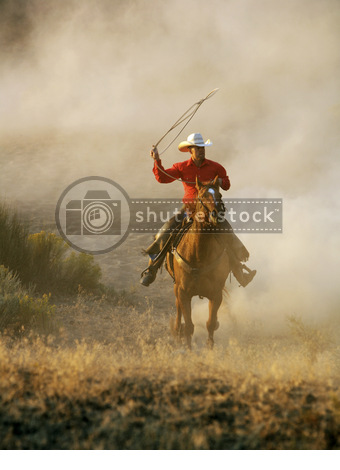 Hat Qimonda ein Chance wieder aufzustehen? 224411