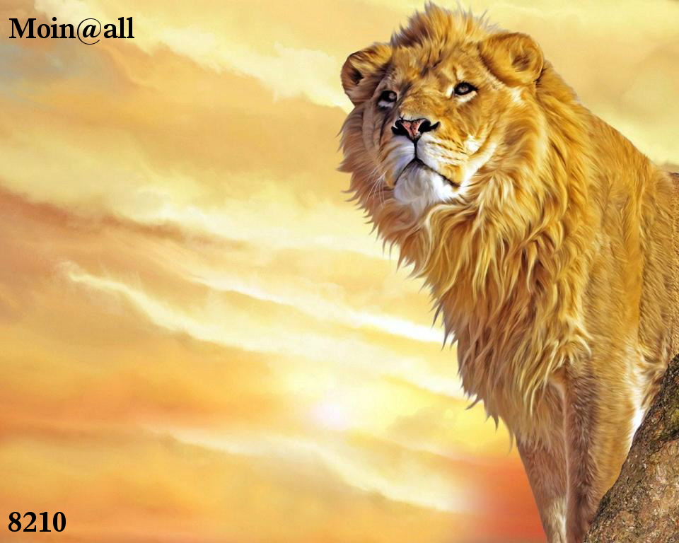 2.143.DAX Tipp-Spiel, Dienstag, 10.09.2013 642506