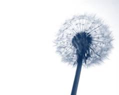 f-h Oni BW sb & Friends-TTT, Freitach 10.12.04 3190