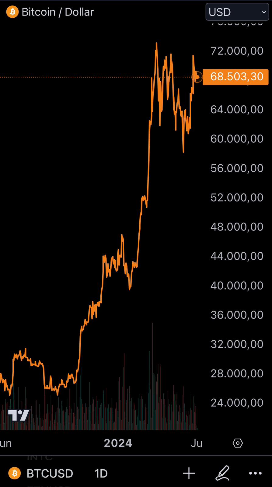 Bitcoin - mehr als eine Spekulationsblase? 1431482
