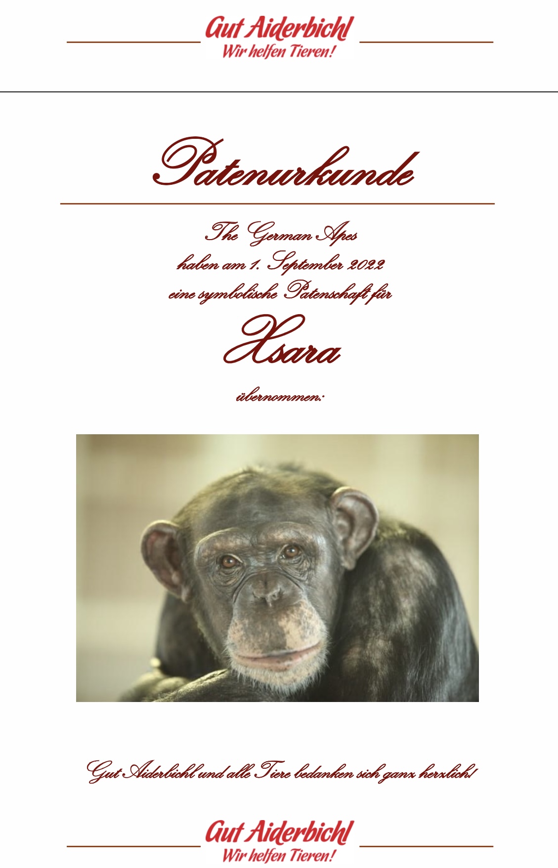 AMC Entertainment Holdings 2.0 - Todamoon?!? 1331362