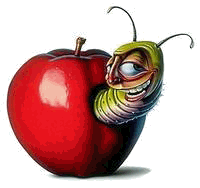 Der USA Bären-Thread 569188