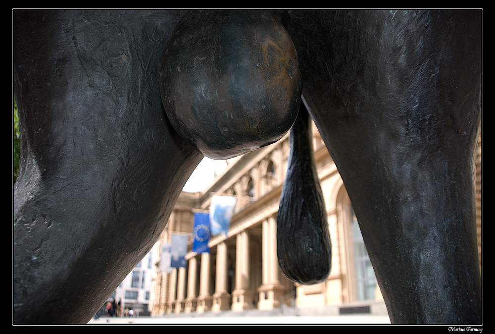 Der Bär erhält Platzverweis 125190