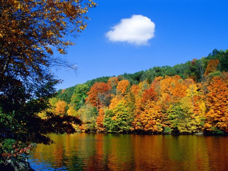 879.DAX Tipp-Spiel *Mittwoch* 24.09.08, 17.45 Uhr 188306