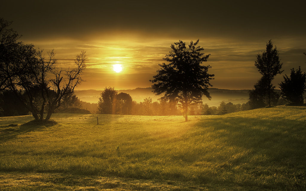 725.DAX Tipp-Spiel, Montag, 18.02.08 149022