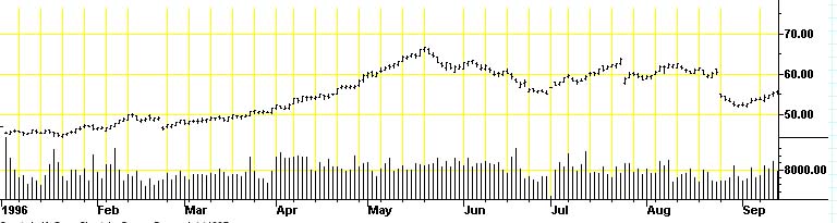 Mein neuer Favorit ist Schwein 251314