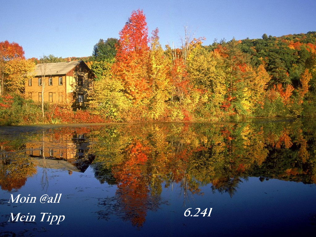 870.DAX Tipp-Spiel *Do* 11.09.08, 17.45 Uhr 185517