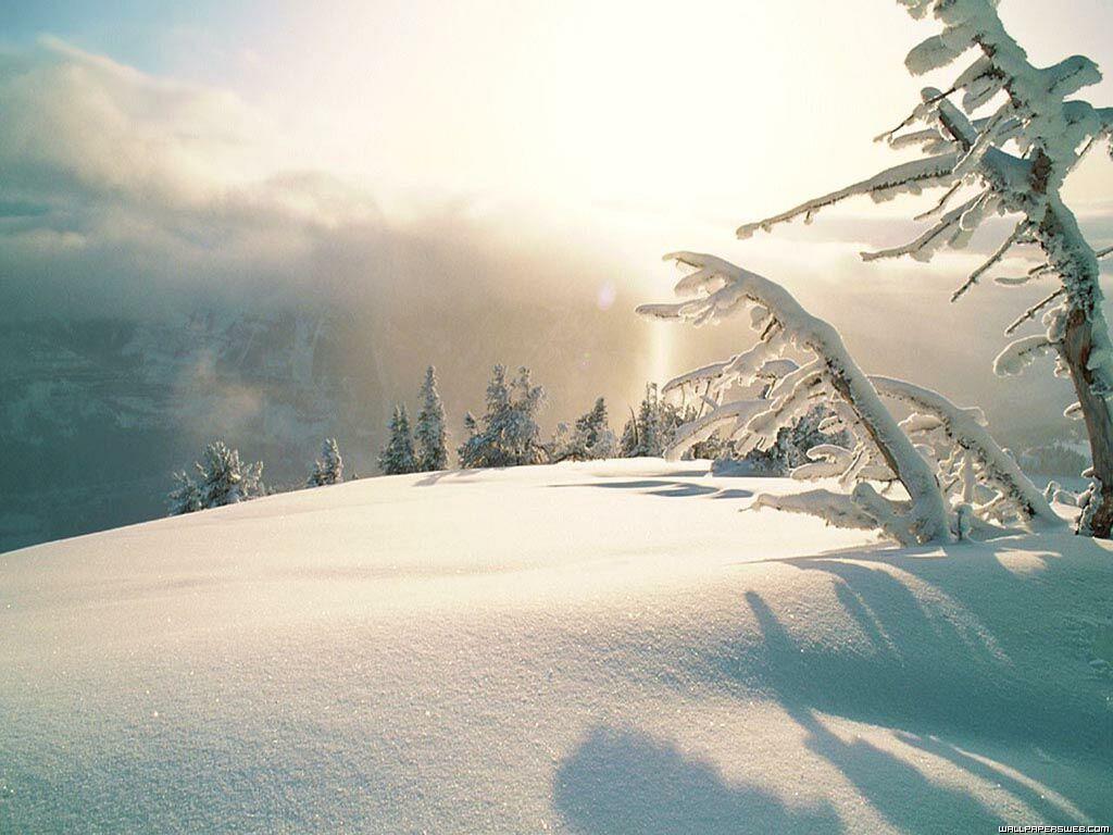 938.DAX Tipp-Spiel *Dienstag* 16.12.08, 17.45 Uhr 205747