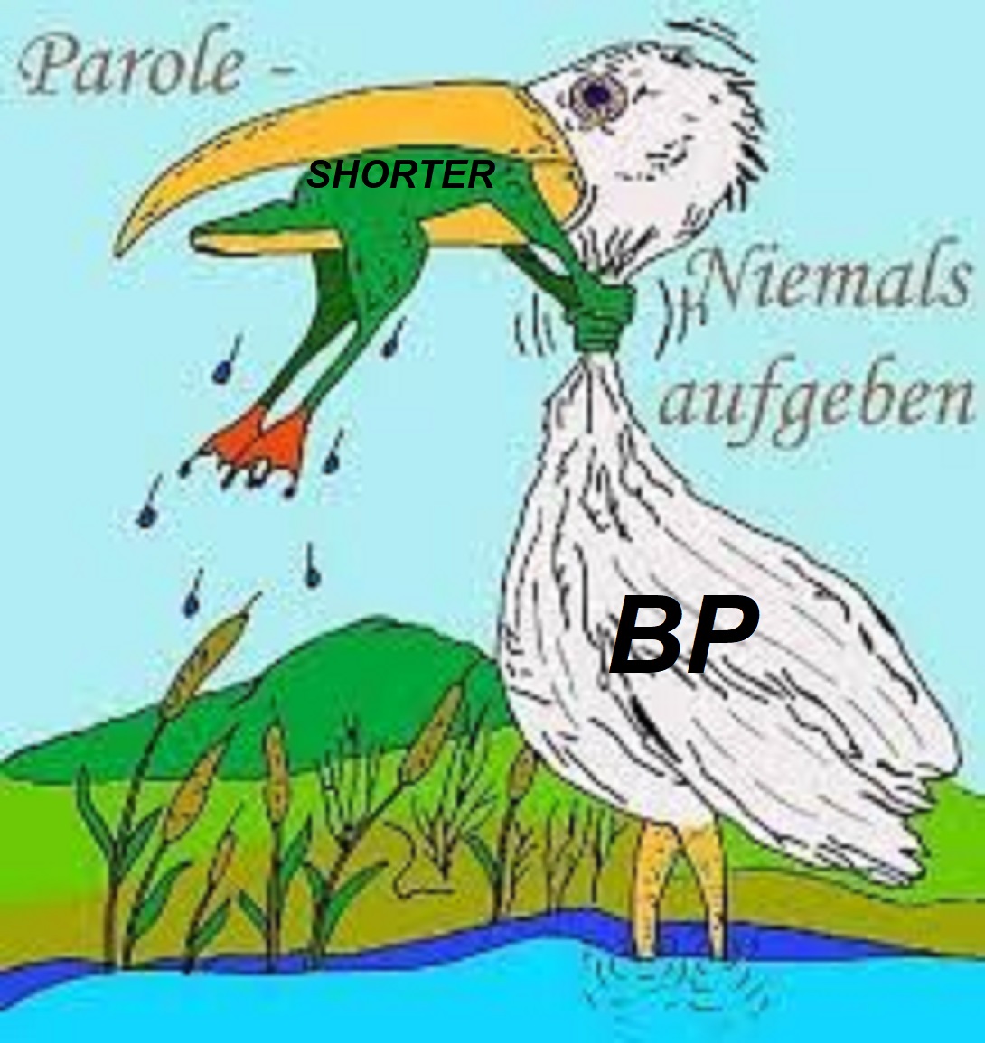 BP Group 1215369