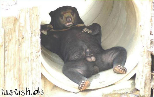 Neue Google! Wahnsinn! 155890