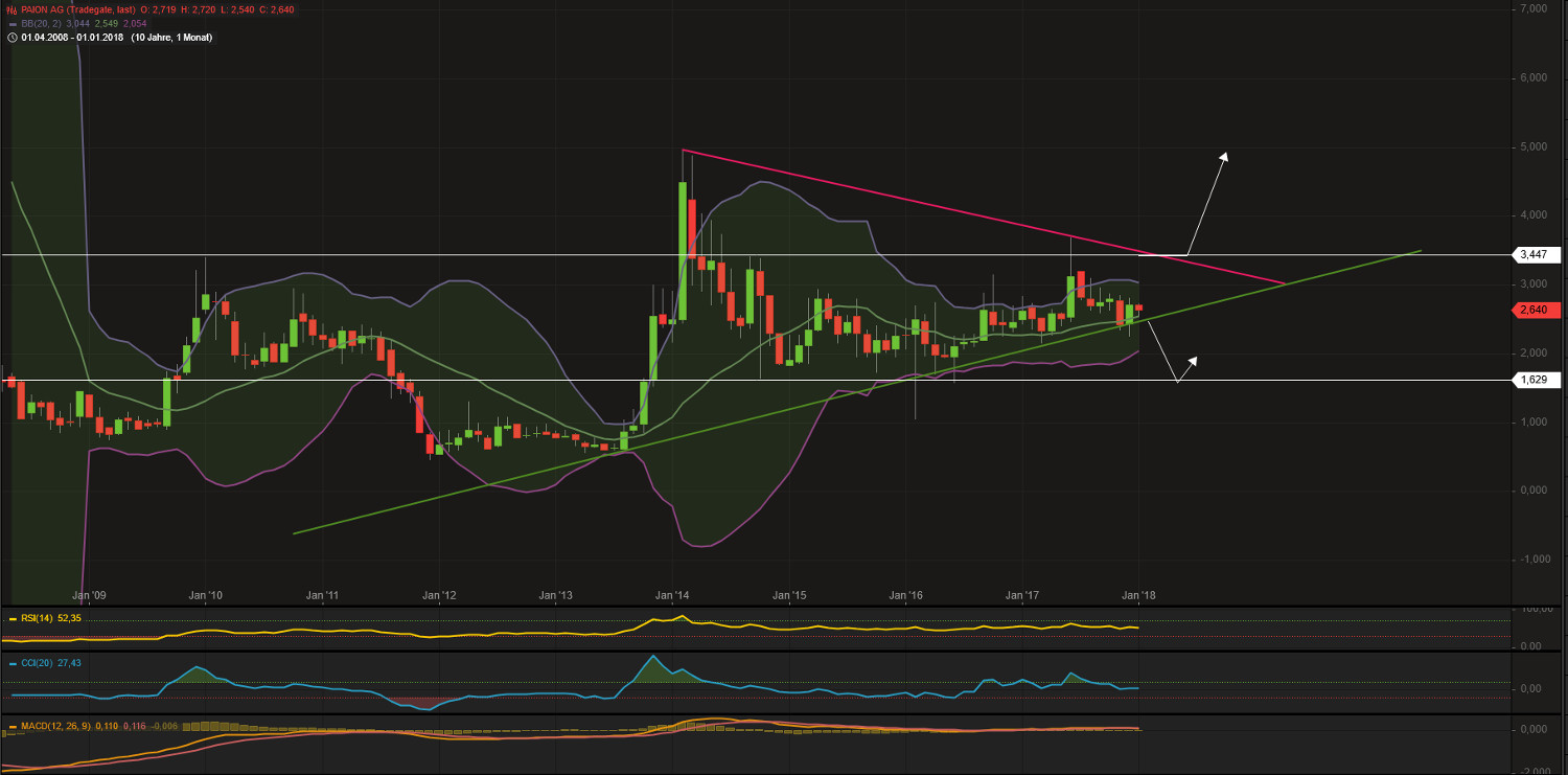 PAION Eine Fledermaus lernt wieder fliegen 1033352