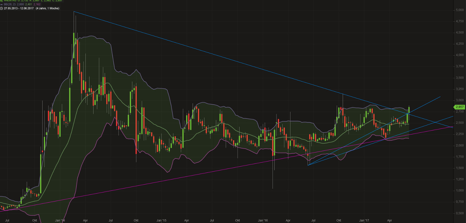 PAION Eine Fledermaus lernt wieder fliegen 995944