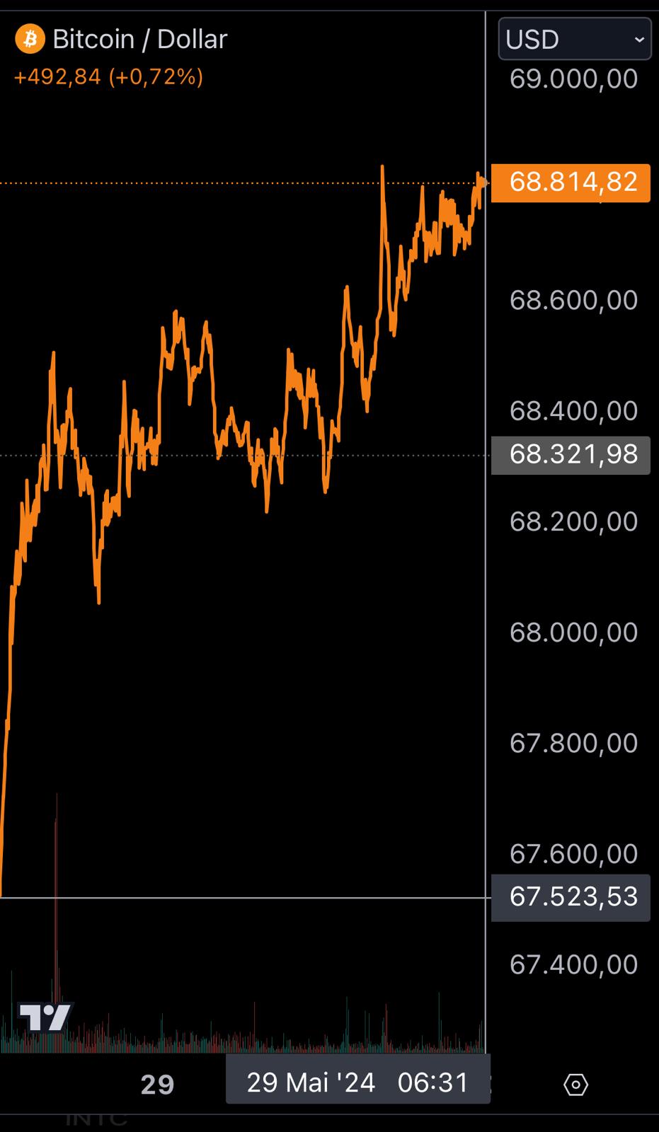 Bitcoin - mehr als eine Spekulationsblase? 1431805