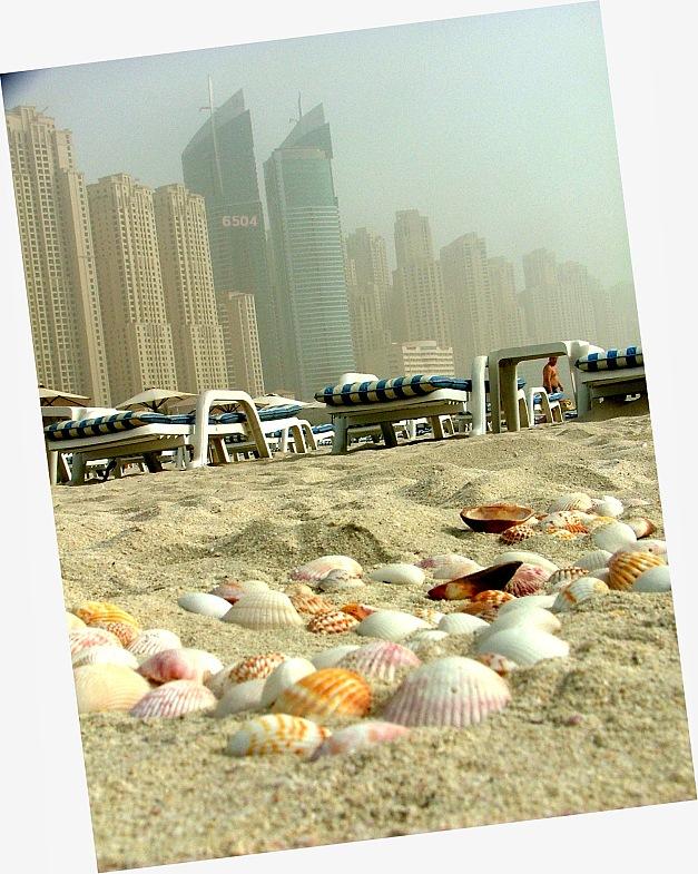 865.DAX Tipp-Spiel *Do* 04.09.08, 17.45 Uhr 184057