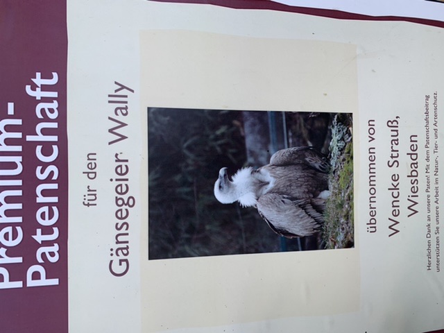 Börse ein Haifischbecken: Trade was du siehst 1254519