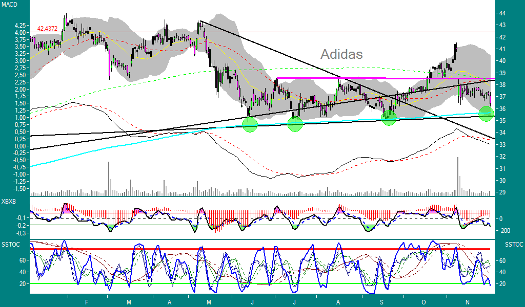 Adidas vs. Puma 69779