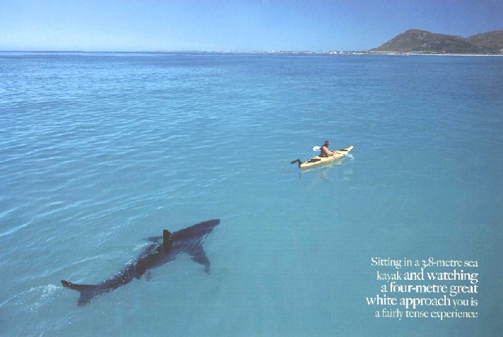 ▶ TTT-Team: Montag, 06.11.2006 65710