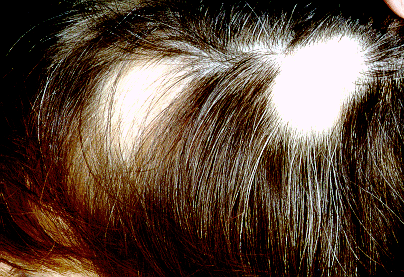 Patriot Scientific der Highflyer 2006 61246