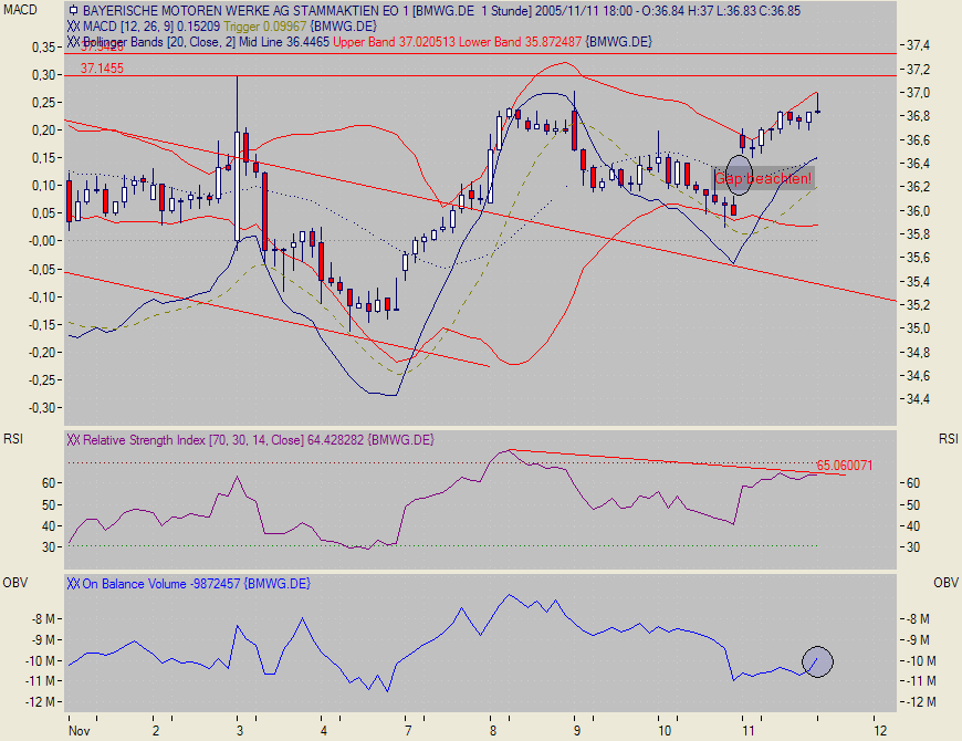 Traden mit nuessa & Co. 19588