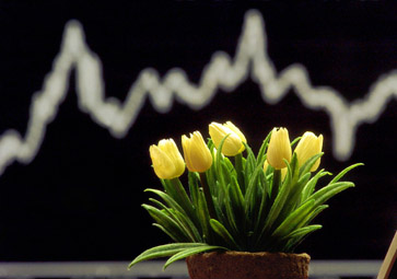 547.DAX Tipp-Spiel, Mittwoch, 07.06.07 101755