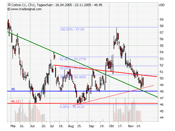 Baumwolle auf interessantem Niveau 20649