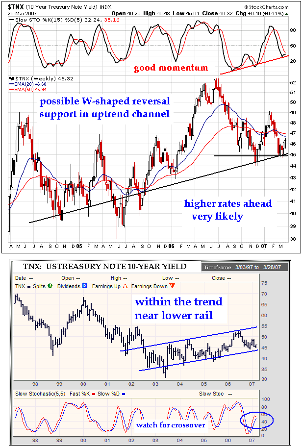 Der USA Bären-Thread 93203