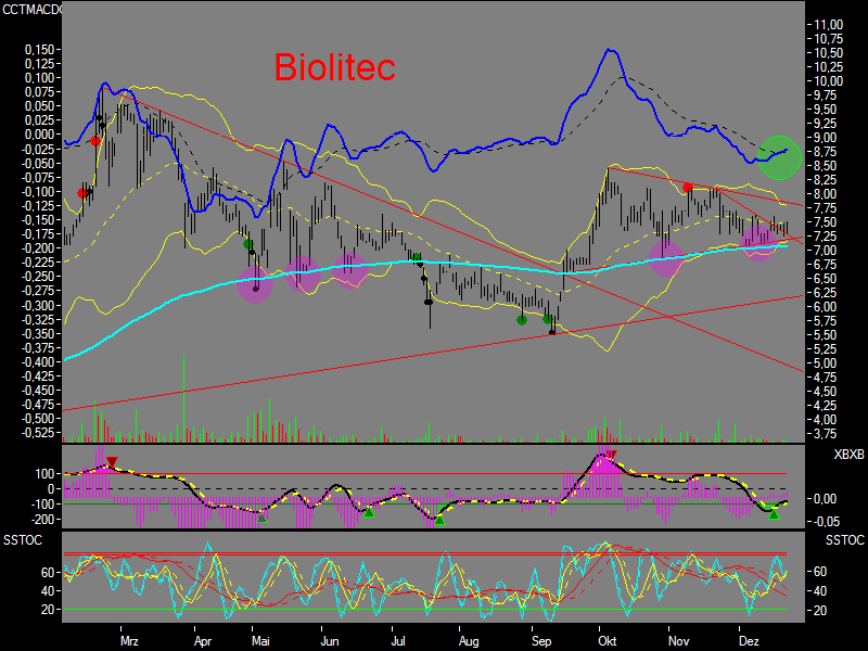 Biolitec auf Käuferseite stehen 73346