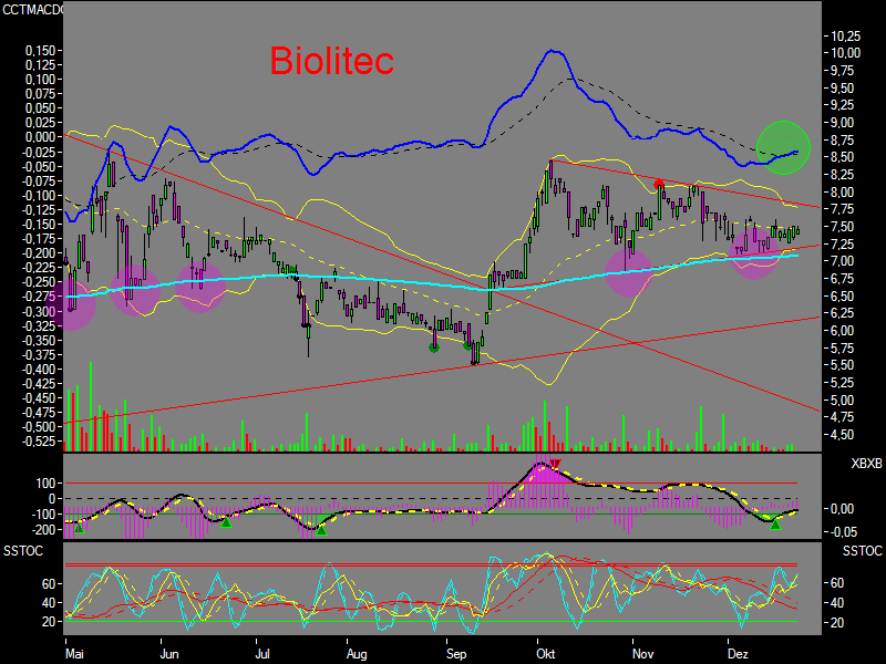 Biolitec auf Käuferseite stehen 73856