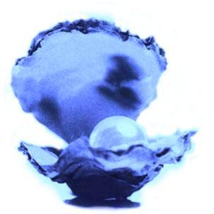 Thompson Creek Metals (Blue Pearl Mng) 93601